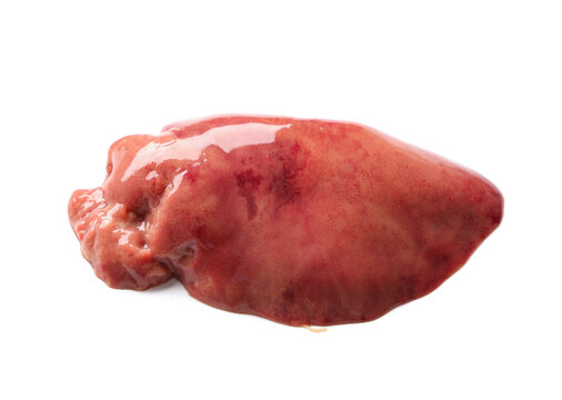 Raw liver on white background