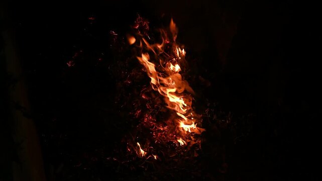 Leaves are raked, and burning leaves is a common cleanup practice to remove winter-damaged foliage in countryside areas. Moist leaves, which tend to burn slowly, give off more smoke than dry leaves.