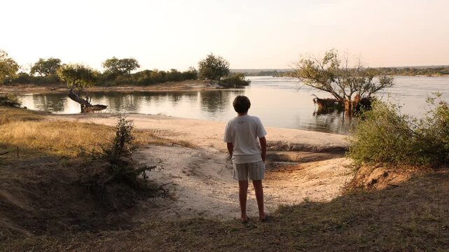 young man looking out at sunset on the mighty Zambezi River, Zambezi National Park, Zimbabwe, Africa
