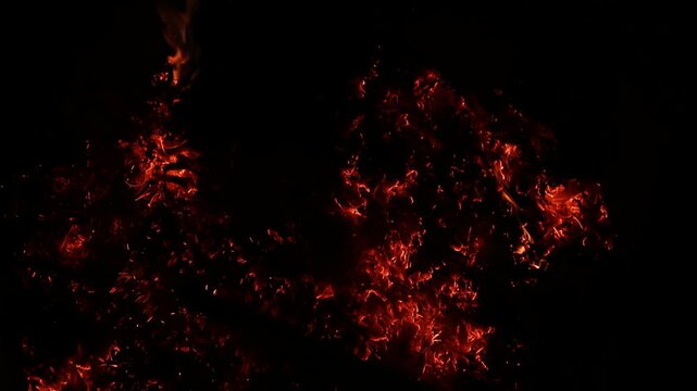 Leaves are raked, and burning leaves is a common cleanup practice to remove winter-damaged foliage in countryside areas. Moist leaves, which tend to burn slowly, give off more smoke than dry leaves.