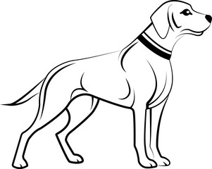 Obraz premium Elegant Black and White Vector Line Art Illustration of Labrador Retriever Dog Standing in Profile with Collar for Graphic Design Projects and Stock Images