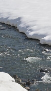 Snowmelt River in Japan, Flowing Stream with Melting Snow, Spring Thaw Landscape in Asia, Winter Nature Background, Clear Freshwater, 4K vertical Video