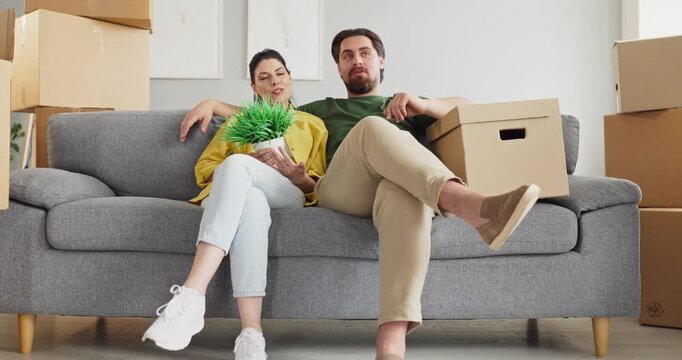Couple moving with boxes in new home. On sofa the smiling pair pauses unpacking in relocation, holding a plant and box, planning apartment space together. Modern new home living concept