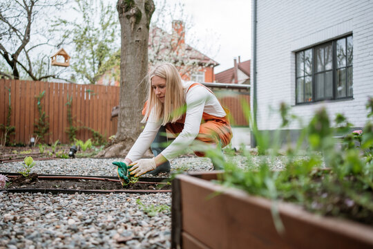 Woman is planting a flower in the backyard garden