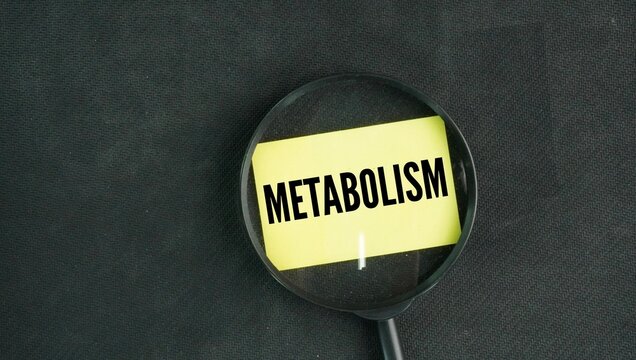 Magnifying glass and paper with the word METABOLISM. Concept of good human metabolism. Metabolism Boost Biotechnology Health Care concept.