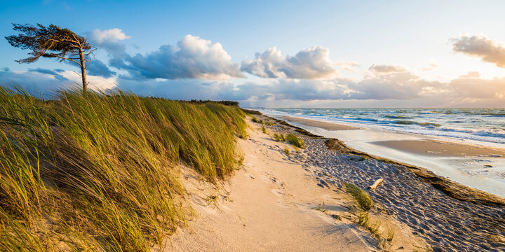 Germany, Mecklenburg-Western Pomerania, Prerow, Grassy coastal beach in Western Pomerania Lagoon Area National Park