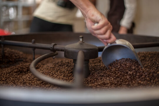 Rasted coffee beans in cooling cylinder