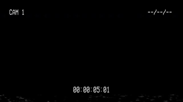 Security camera recording interface with digital time overlay
