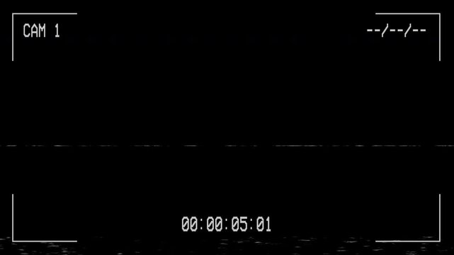 Security camera recording interface with digital timecode and static