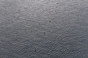 Red buoys marking a boundary on rippling water © ANTONIO COSTA