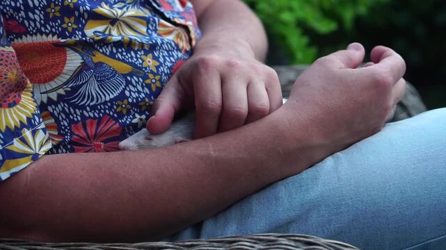 A man sits outdoors wearing a bright patterned shirt and  ently strokes a white pet rat with red eyes resting on his arm