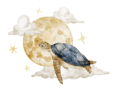 Turtle in the sky with clouds and stars watercolor illustration. Sea animal with moon on isolated background. Fantasy marine composition for nursery poster and baby storybook. Art for children.
