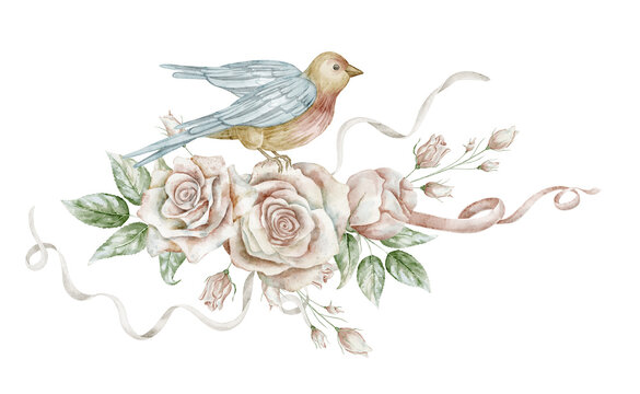 Watercolor Bird with Roses. Botanical vintage illustration of songbird and pastel pink flowers with delicate ribbons. Floral composition for wedding stationery, greeting cards and romantic projects.
