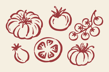 Plakat Tomato Set Hand Drawn Doodle Vector Illustration