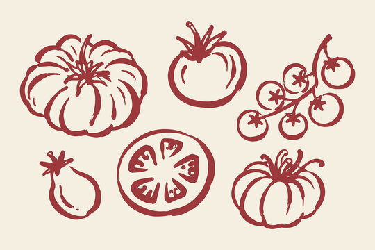 Tomato Set Hand Drawn Doodle Vector Illustration