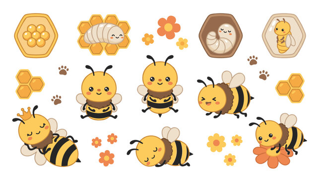 Set of cute bees showing life cycle metamorphosis, honeycomb cells, larvae, queen bee and flowers, perfect for nursery decor and playful stickers