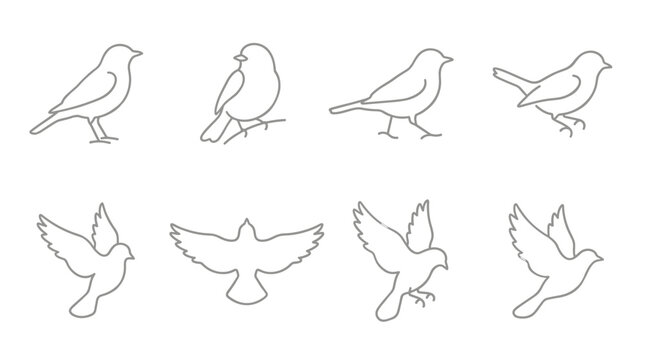 Set of eight bird line art icons featuring flying and perched silhouettes in simple vector style for nature branding, wildlife studies, logo elements