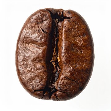 Close-up of a single roasted coffee bean, showcasing texture and rich brown color