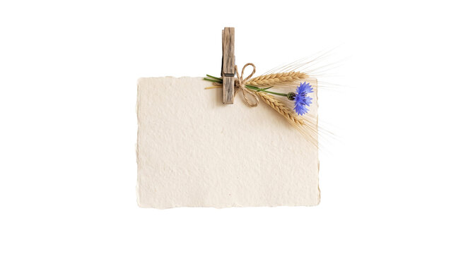 Rustic note with wheat and cornflower blank paper for messages
