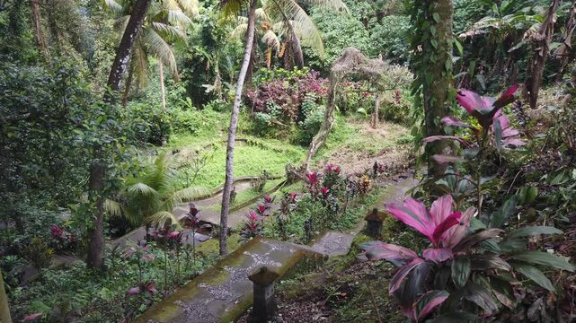 High Angle View of Lush Tropical Garden at Goa Gajah Temple in Ubud Bali Indonesia