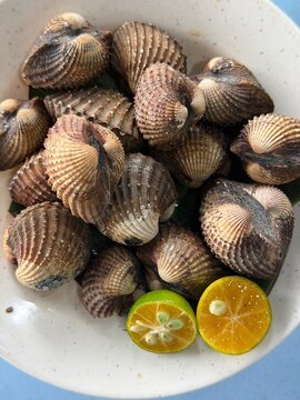 Fresh Boiled Blood Cockles Kerang Rebus with Calamansi Limes