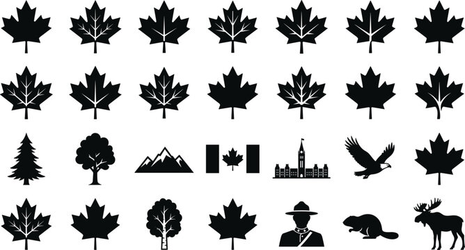 Collection of Canada vector icons featuring maple leaves, national symbols, wildlife, and landscapes