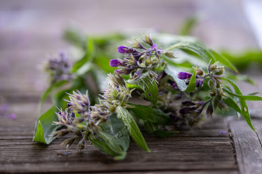 Close up comfrey on a wooden table
