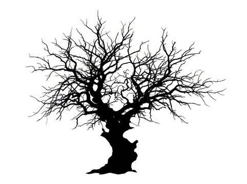 Black silhouette of a gnarled leafless tree