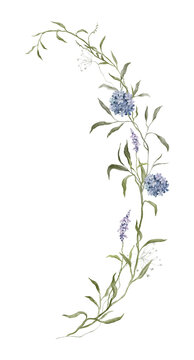 Watercolor botanical illustration branch with blue hydrangeas and purple lavender stems. Rustic template and trendy for wedding invitations, wall art, or packaging. Delicate style wildflower aesthetic