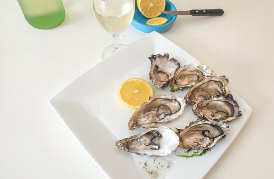 Fresh oysters served on a white plate with lemon slices and a glass of white wine in a bright dining setting