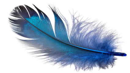 Vibrant blue feather with delicate barbs, isolated on transparent background © Veaceslav