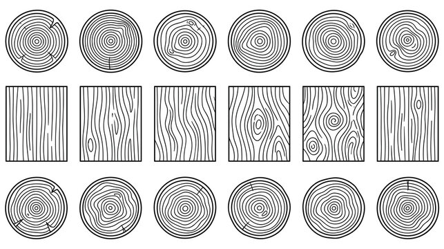 Natural wood textures collection with tree rings and timber patterns.