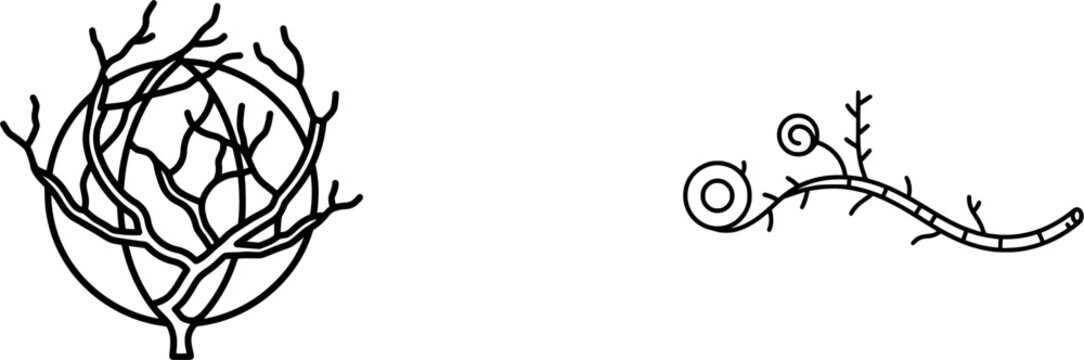 A minimalist black outline icon of a dry rolling desert tumbleweed branch, thick uniform lines, isolated on pure white background, no shadows under the icon, in a flat vector style