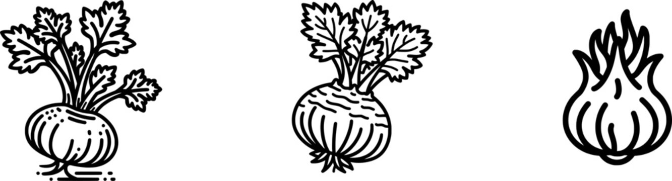 A fresh celeriac bulb with thick uniform lines is depicted in a minimalist flat vector style against a pure white background