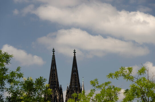 Blick von der Uferpromenade des Rheins auf die Spitzen des K&ouml;lner Doms mit B&auml;umen im Vordergrund
