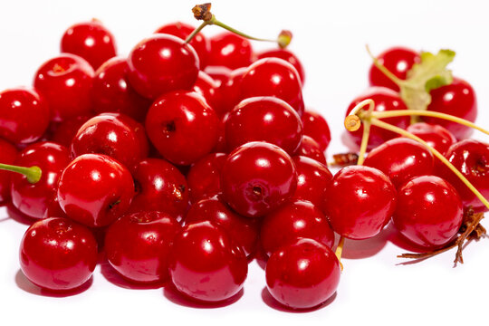 Ripe red currants on a white background