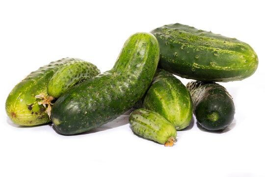 Ripe green cucumbers close-up on a white background