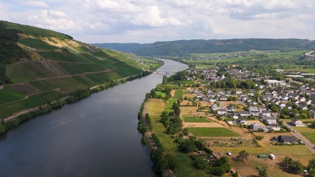 Moselle Valley in summer, Mosel river, aerial view, riesling wine growing on vine, vineyard landscape near Trier, agriculture in Germany