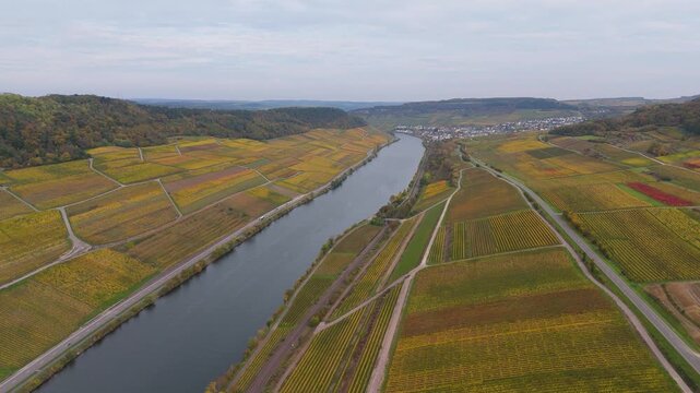 Moselle Valley with aerial view over riesling vineyard landscape in autumn, agriculture, Mosel river, Wincheringen border between Germany and Luxembourg
