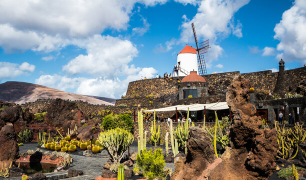 Jardin de Cactus designed by Cesar Manrique in Guatiza, Lanzarote. Traditional windmill rising above the famous Cactus Garden in Lanzarote.