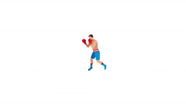 Male Boxer 