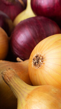 Vibrant close up of colorful mix of different color onions like yellow onion and red onion forming background of food ingredient for healthy cooking vertical photo