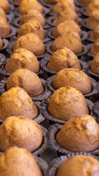 Rows of golden-brown baked muffins arranged in dark paper liners, fresh from oven, cooling on metal rack, delicious sweet pastry dessert, ready for consumption vertical photo