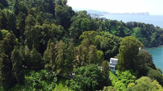 A panoramic view of a lush green coastal cape with a zipline tower overlooking the Black Sea with the distant Batumi city skyline at the Batumi Botanical Garden in Adjara, Georgia.
