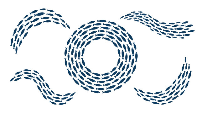 Large school of small fish swimming in circle and wave patterns in the deep ocean Vector