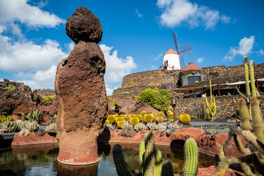 Jardin de Cactus designed by Cesar Manrique in Guatiza, Lanzarote. Traditional windmill rising above the famous Cactus Garden in Lanzarote.