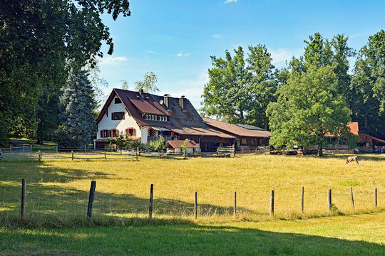 Schlotterhoff