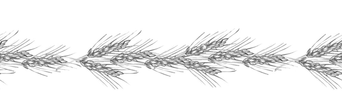 Seamless repeating horizontal pencil sketch border with wavy wheat ears. Great for rustic kitchen wallpaper, farmhouse textile borders, and harvest decor.