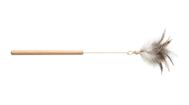 Feather teaser wand for pet play and exercise. Interactive cat toy with dangling lure for training and bonding.