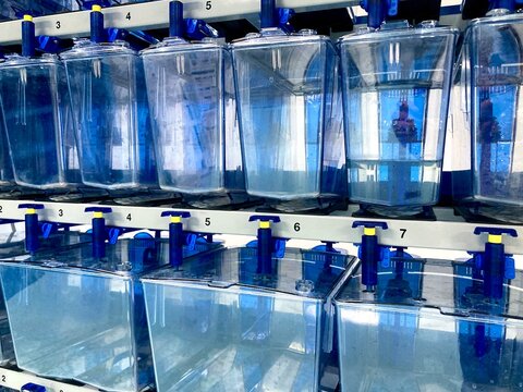laboratory aquatic tanks rack system for zebrafish research